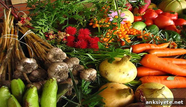 Fruits and Vegetables A large mix of fruits and vegetables is shown.