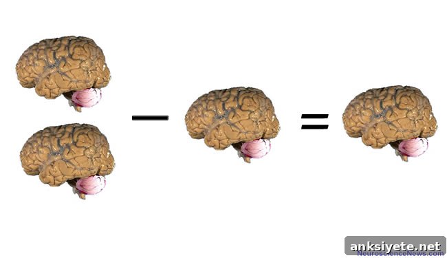 Two brains, a minus sign, one brain, an equals sign and a brain are shown. 