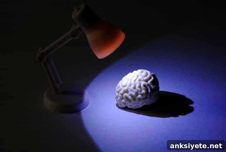 Brain Activity Could Predict Resilience to Post-Traumatic Stress 2 This shows a brain model under a desk lamp