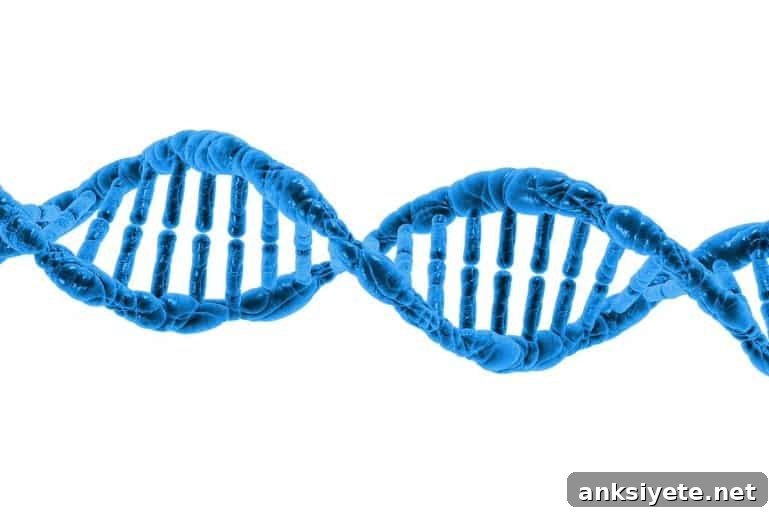 This shows DNA