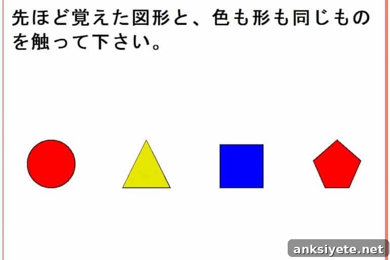 This shows different colored shapes