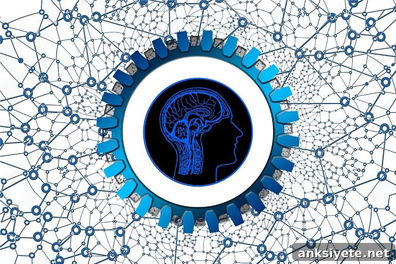 New Study Links Parkinson's Disease to Neuroticism 2 This shows the outline of a head