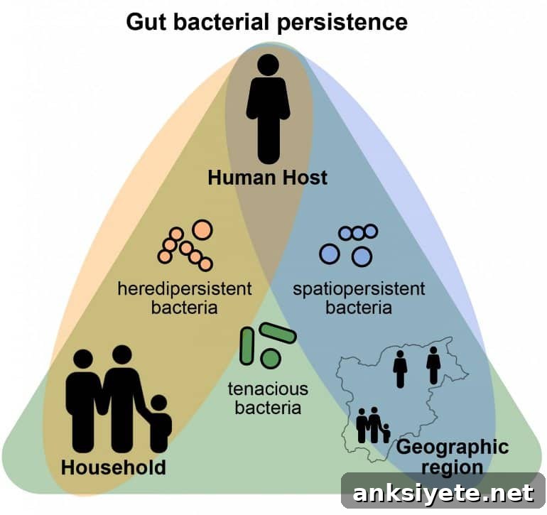 This is a diagram from the study