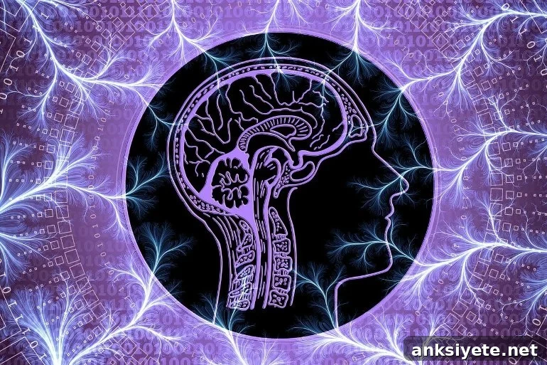 This shows a brain