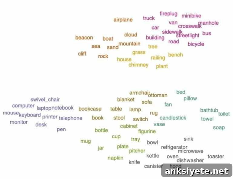 This shows groups of different words in different colors