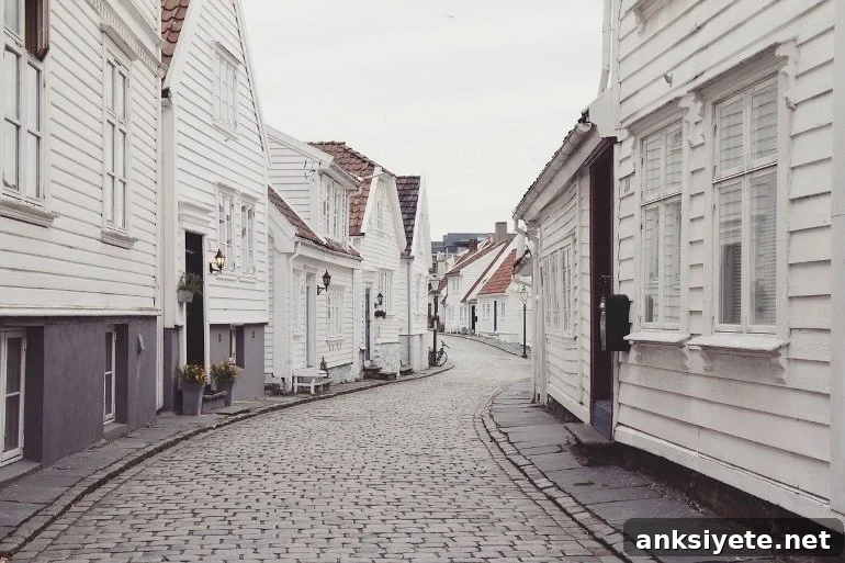 This shows a row of old fashioned white houses on a cobbled street
