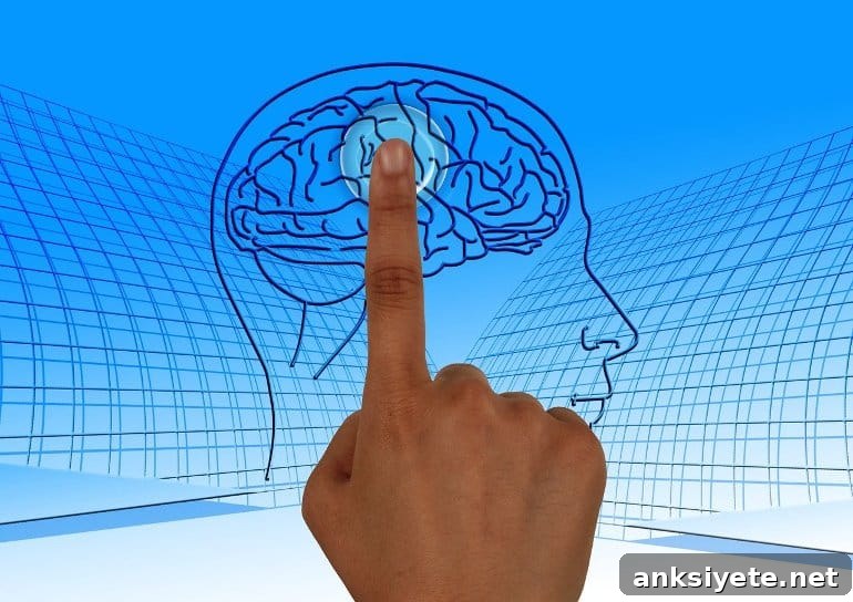 This shows a brain