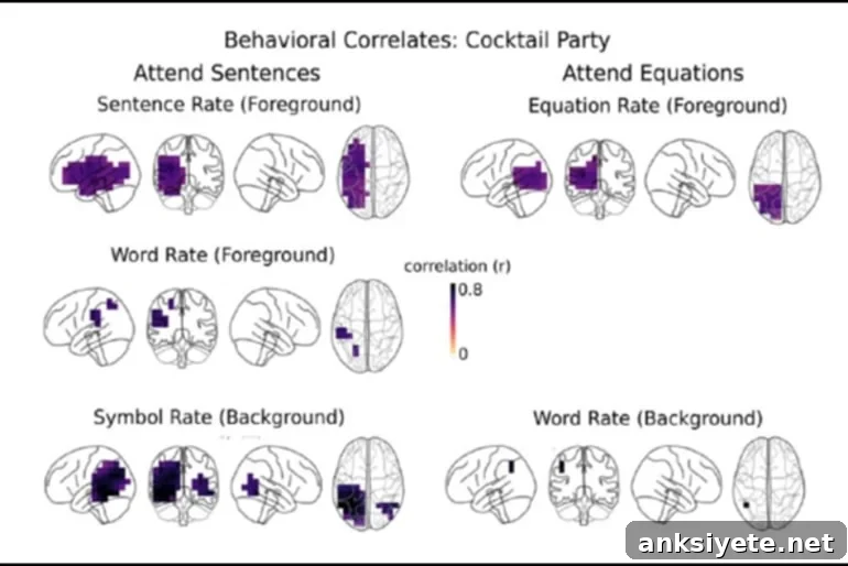 This is a diagram from the study