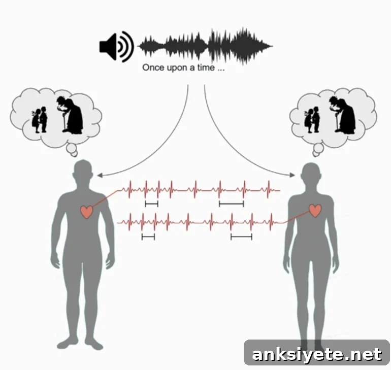 This is a diagram from the study