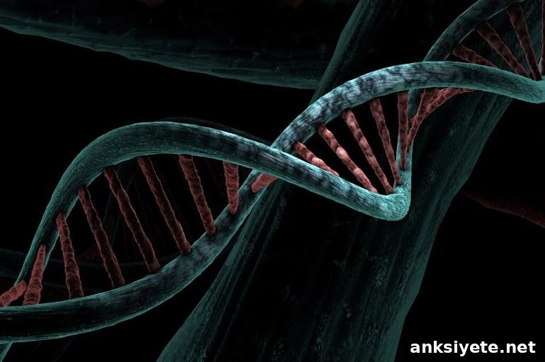This shows a dna double helix