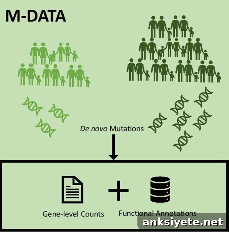 This shows a workflow diagram from the study