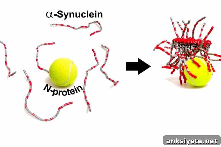 This shows two tennis balls and strings