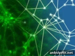 Neurons and a neural network are shown. Caption describes well.