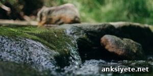 how to measure flow
