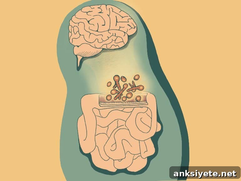 This shows a diagram of the fungi in the intestinal mucosa