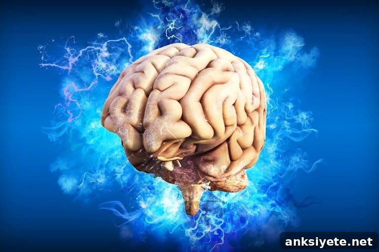 This shows a brain