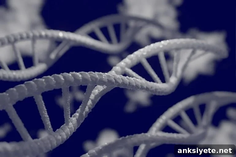 This shows dna