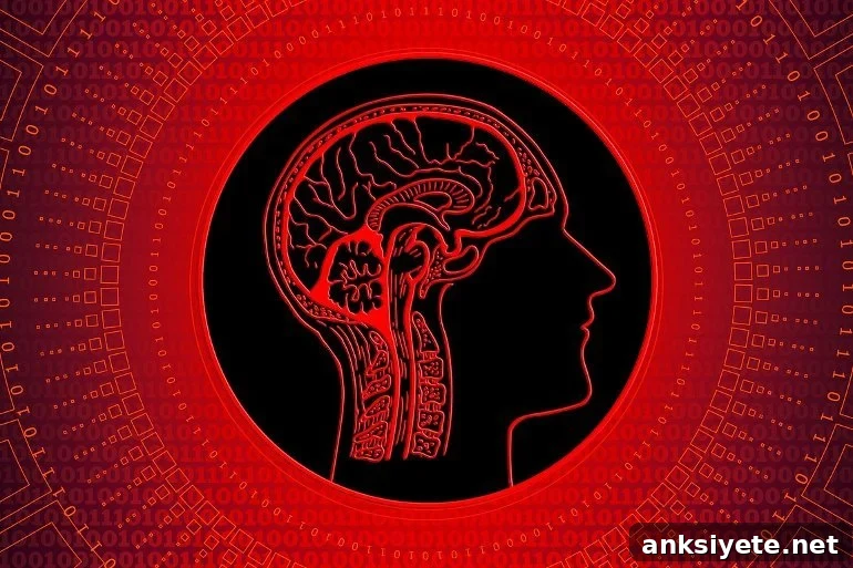 This shows a brain