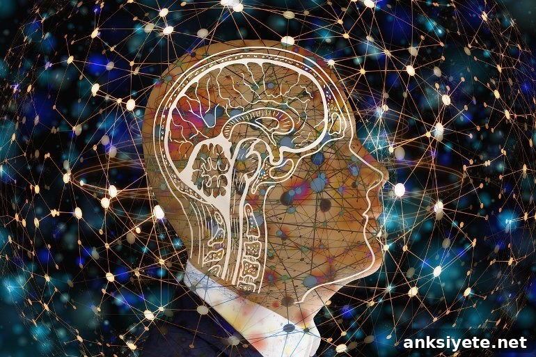 This shows the outline of a head and a brain