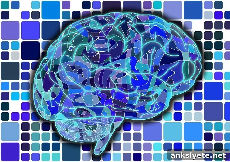 This shows a brain