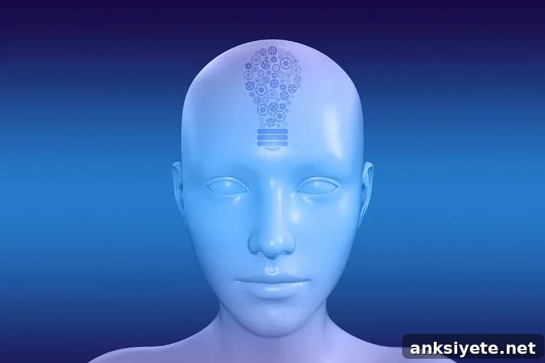 This shows a model of a head
