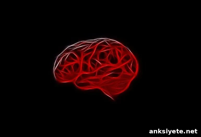 This shows a brain