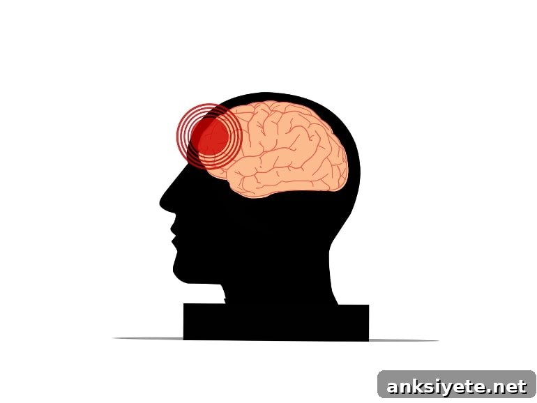 This shows a brain