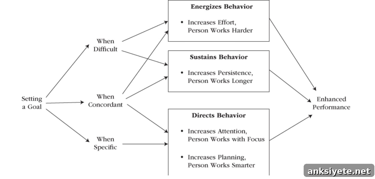 What Motivates People? Understanding Human Motivation 3 Goal motivation