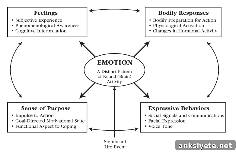 What Motivates People? Understanding Human Motivation 4 Motivation and Emotion diagram