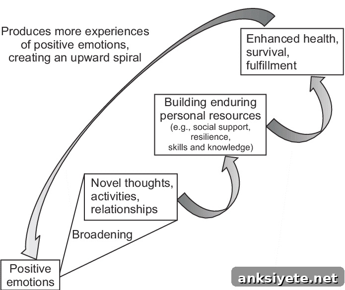 What Motivates People? Understanding Human Motivation 8 Model of the broaden-and-build theory