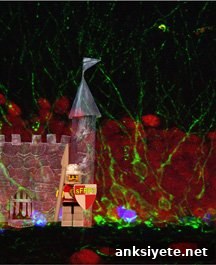 The image shows a lego man acting as a gatekeeper for the brain activity to neuronal growth.
