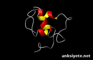 The image shows a 3D schematic structure of IGF-1.