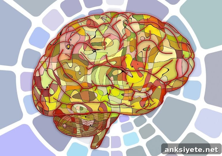 This shows a brain