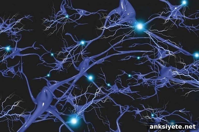 This shows neurons