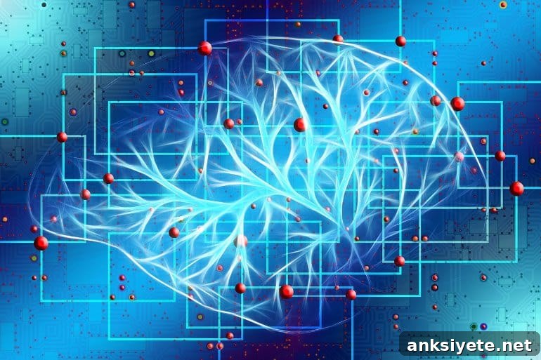 This shows a brain