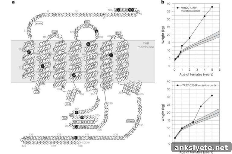 This is a diagram from the study
