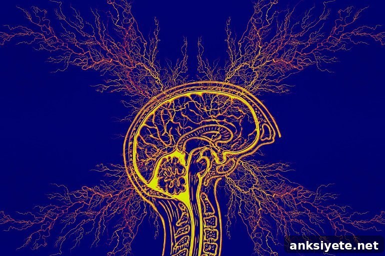 This shows a brain