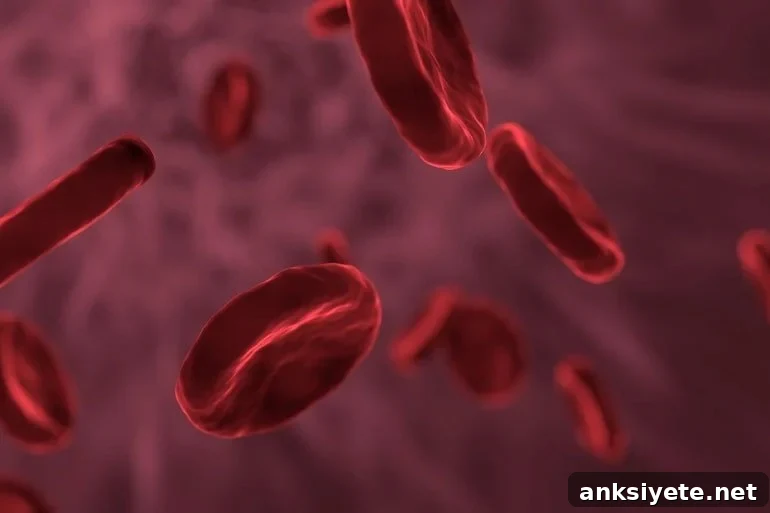 This shows red blood cells