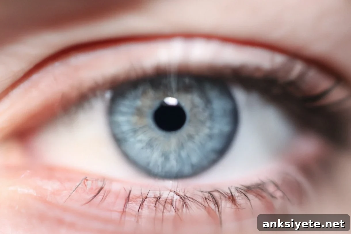 This shows an eye