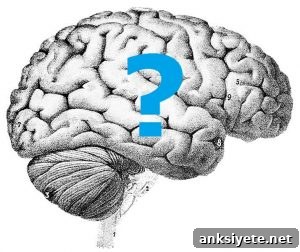 Drawing of a brain with a blue question mark