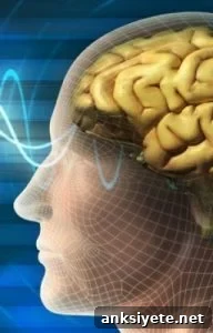 The image shows a brain with light beams entering it.