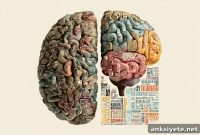 Multilingualism Could Make Your Brain 13 Years Younger