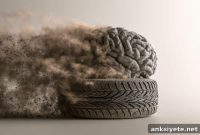 Microscopic Tire Wear Particles Disrupt Alzheimer’s Risk Genes