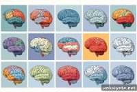 Scientists Identify 17 New Brain Regions Involved in Language