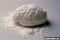 Single Cocaine Exposure Causes Lasting Epigenetic Changes
