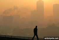 Air Pollution Linked to Higher Parkinson’s Disease Risk