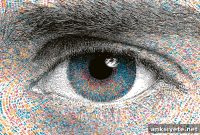 Eye Movement Patterns Reveal a Unique Gaze Fingerprint