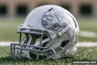 NFL Players Face Fourfold Increase in Neurodegenerative Deaths