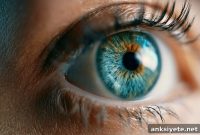 GLP-1 Drugs Linked to Rare Cases of Sudden Vision Loss