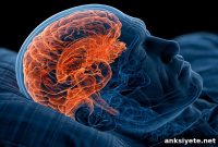 How Poor Sleep Disrupts Brain Network Communication as We Age